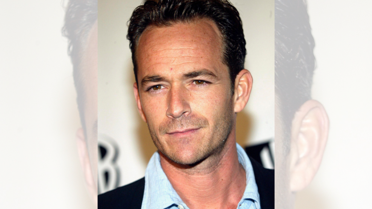Hasil gambar untuk luke perry