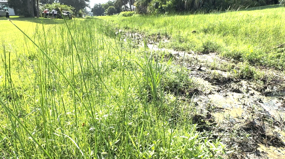 Drainage canal