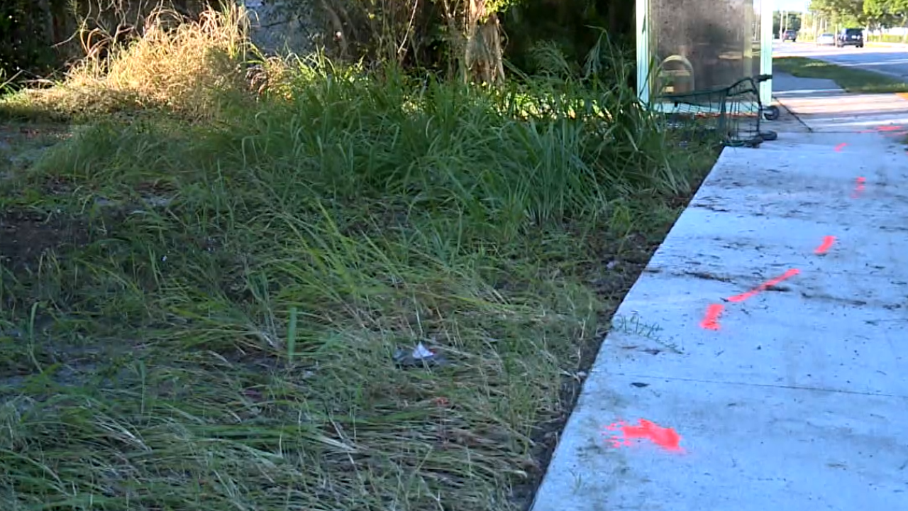 Scene of fatal hit-and-run of pedestrian near bus stop in Delray Beach. Nov. 12, 2023.png