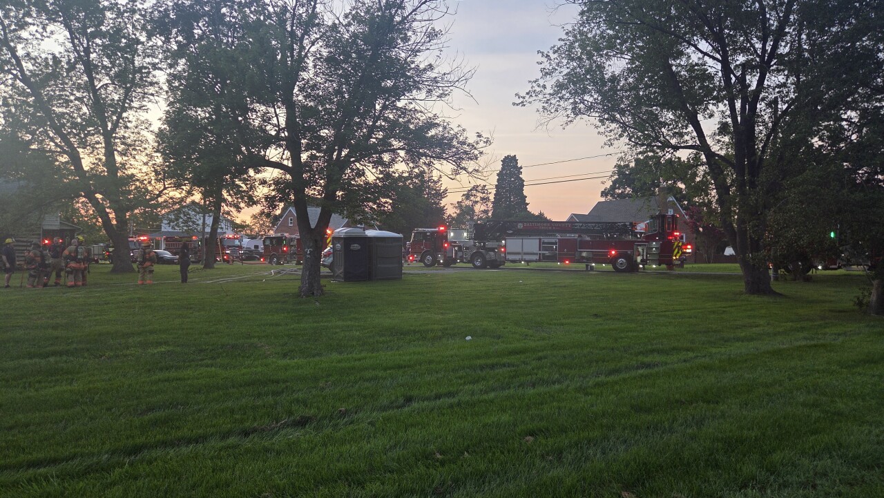 Fire at reptile house leaves snakes, turtles, and lizards in need of relocation in Baltimore County 