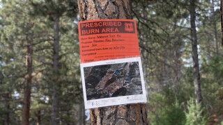 Prescribed burn signage