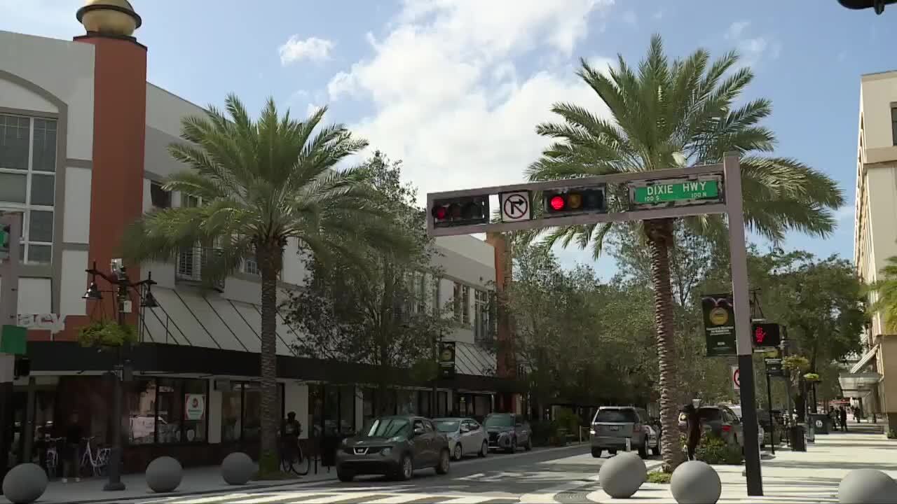 West Palm Beach palm trees