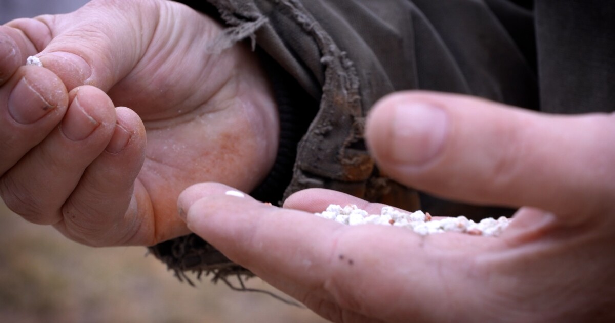 How might Iran conflict affect Montana farmers?