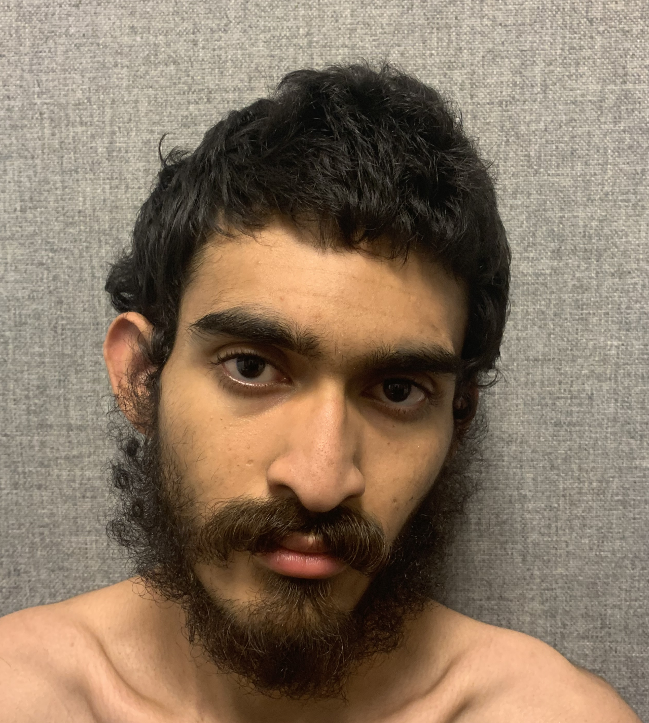 Jose Roberto Hernandez-Penal mugshot .png