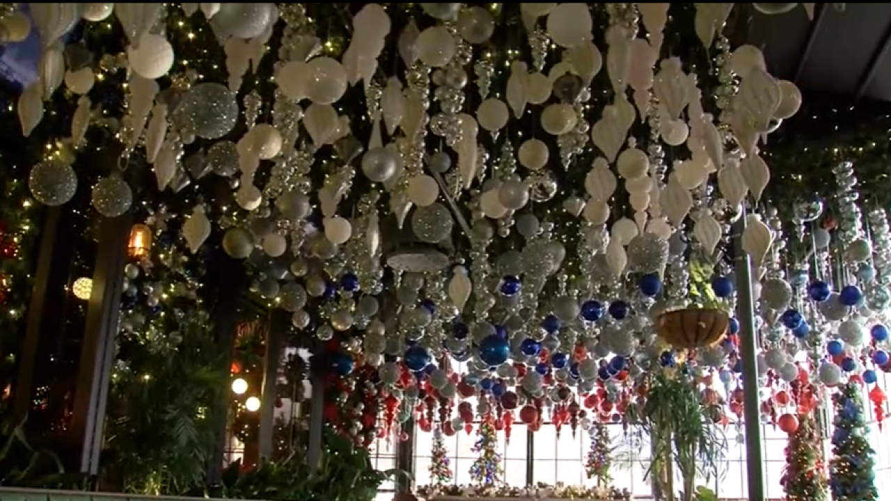 Holiday decorations, lights on display at Roosevelt's on Brookside