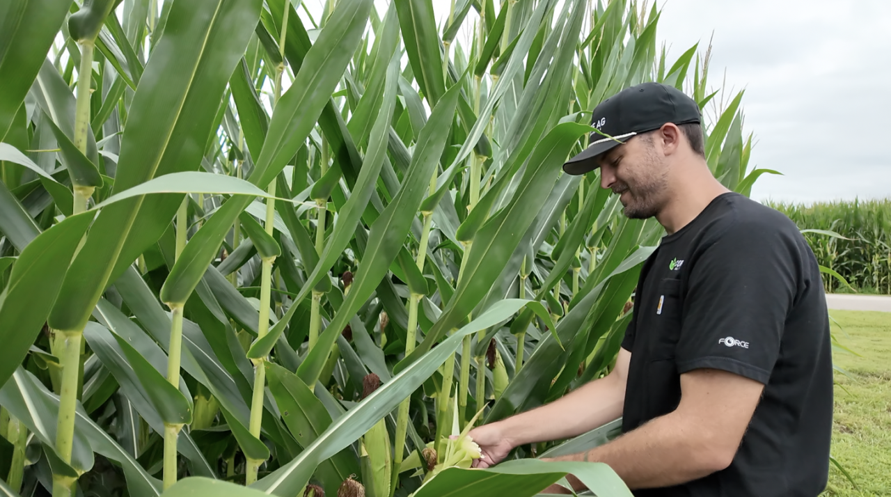 Screenshot 2025-07-31 at 6.05.48 PM.png