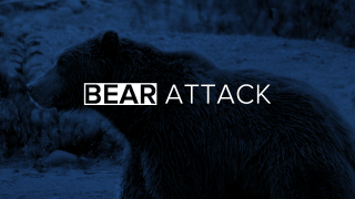 Bear Attack.png