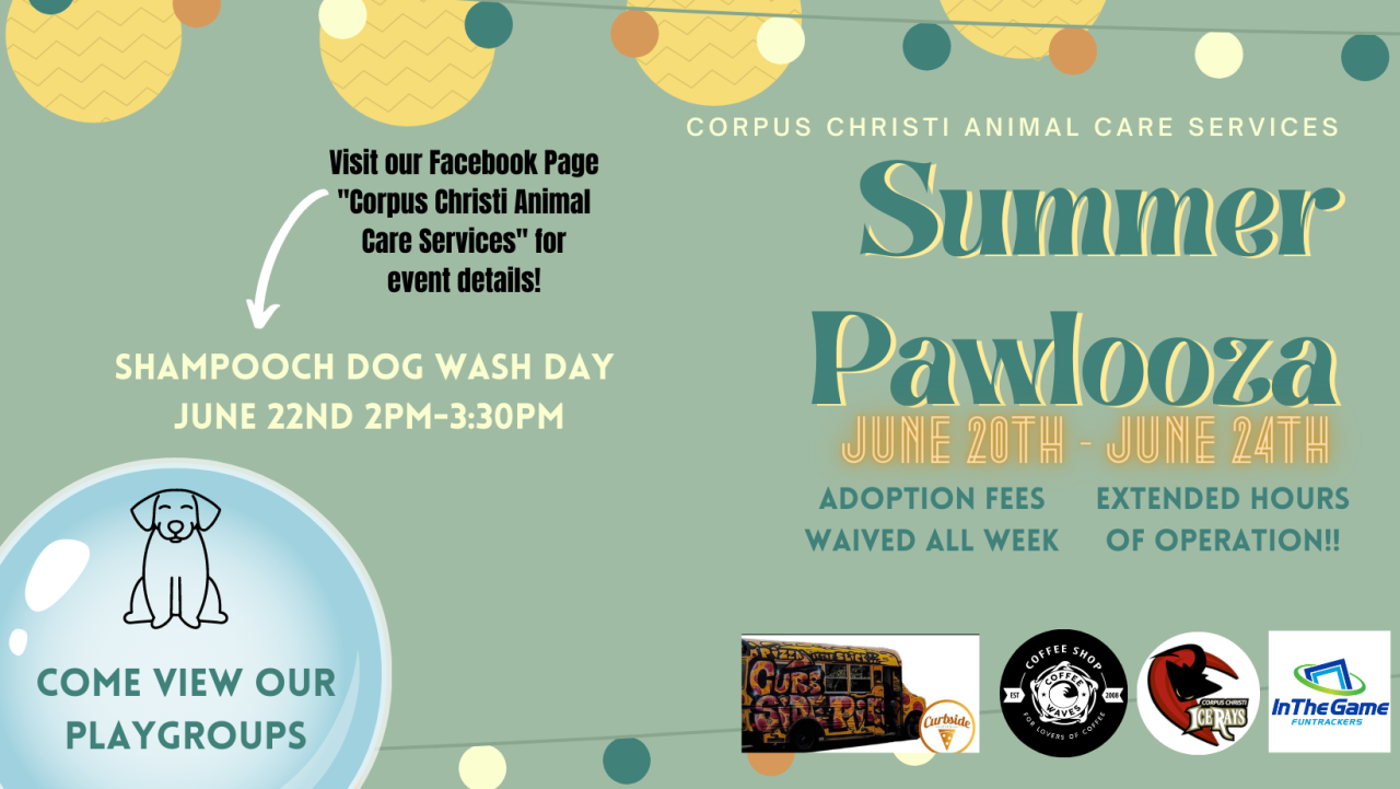 Summer Pawlooza graphic