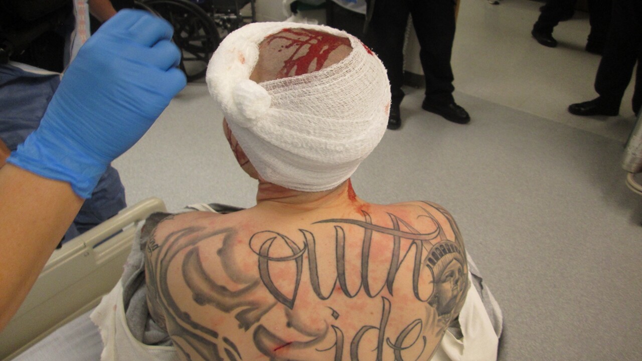 03_PIC USE ONLY THIS FOR TEASES.jpg