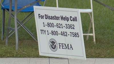 FEMA