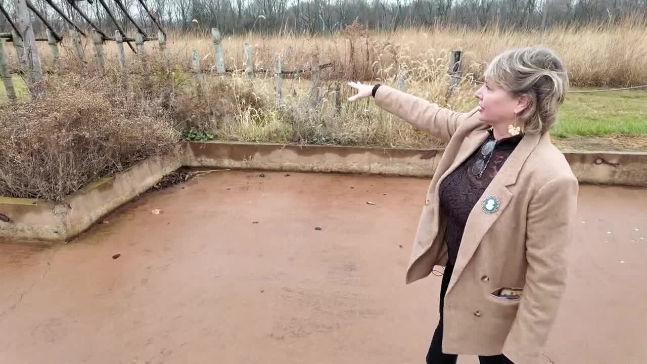 Poster image - 2025-11-26T173554.864.jpg