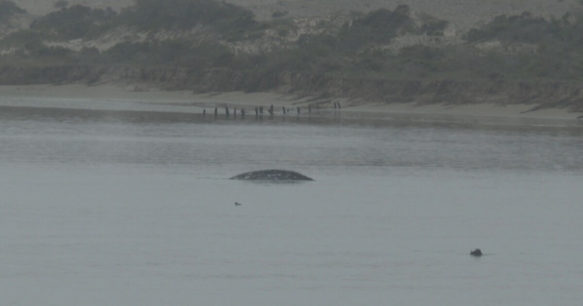 Marine weather forecast morro bay