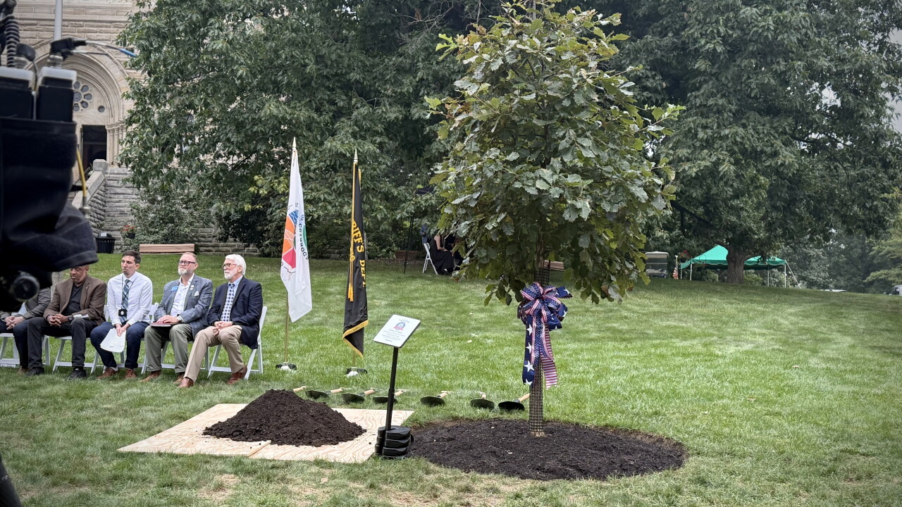 A new White Oak tree stands outside the Garfield Memorial at Lake View Cemetery in honor of America 250-Ohio