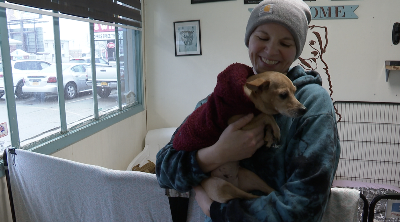Mallory Johnson, co-owner of Joyful Dog
