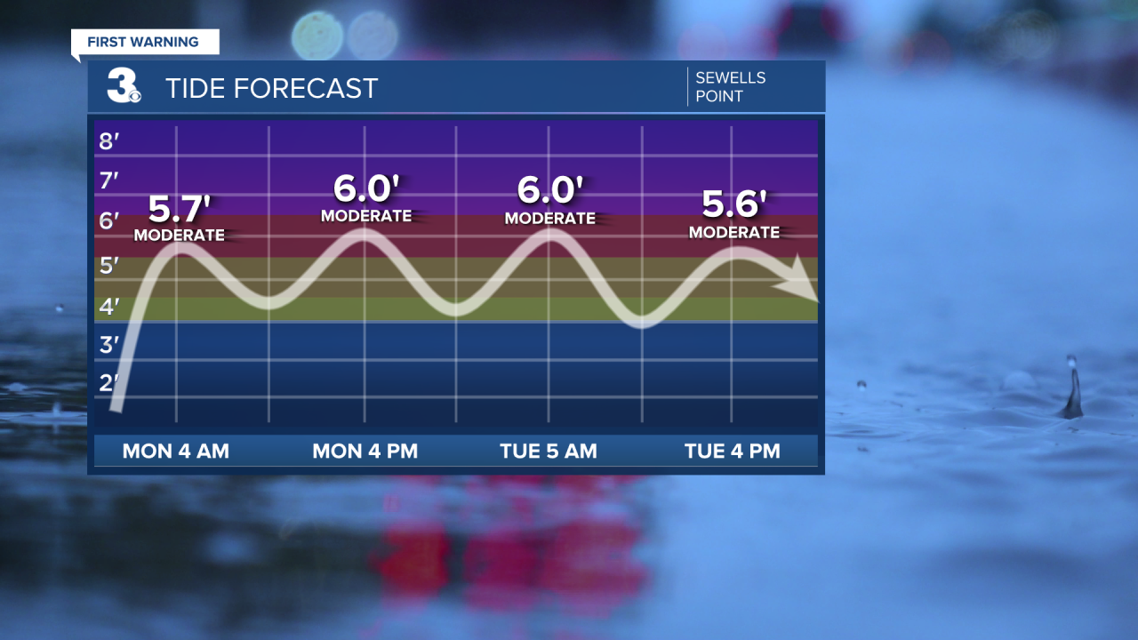 Tide Times - Sewells Point.png