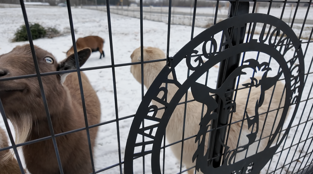 Screenshot 2026-01-02 at 6.11.05 PM.png