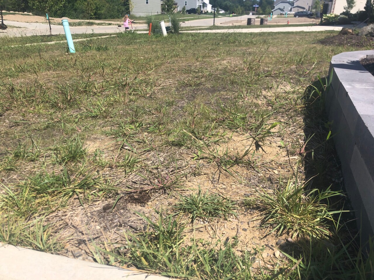 landscaping contractor 4