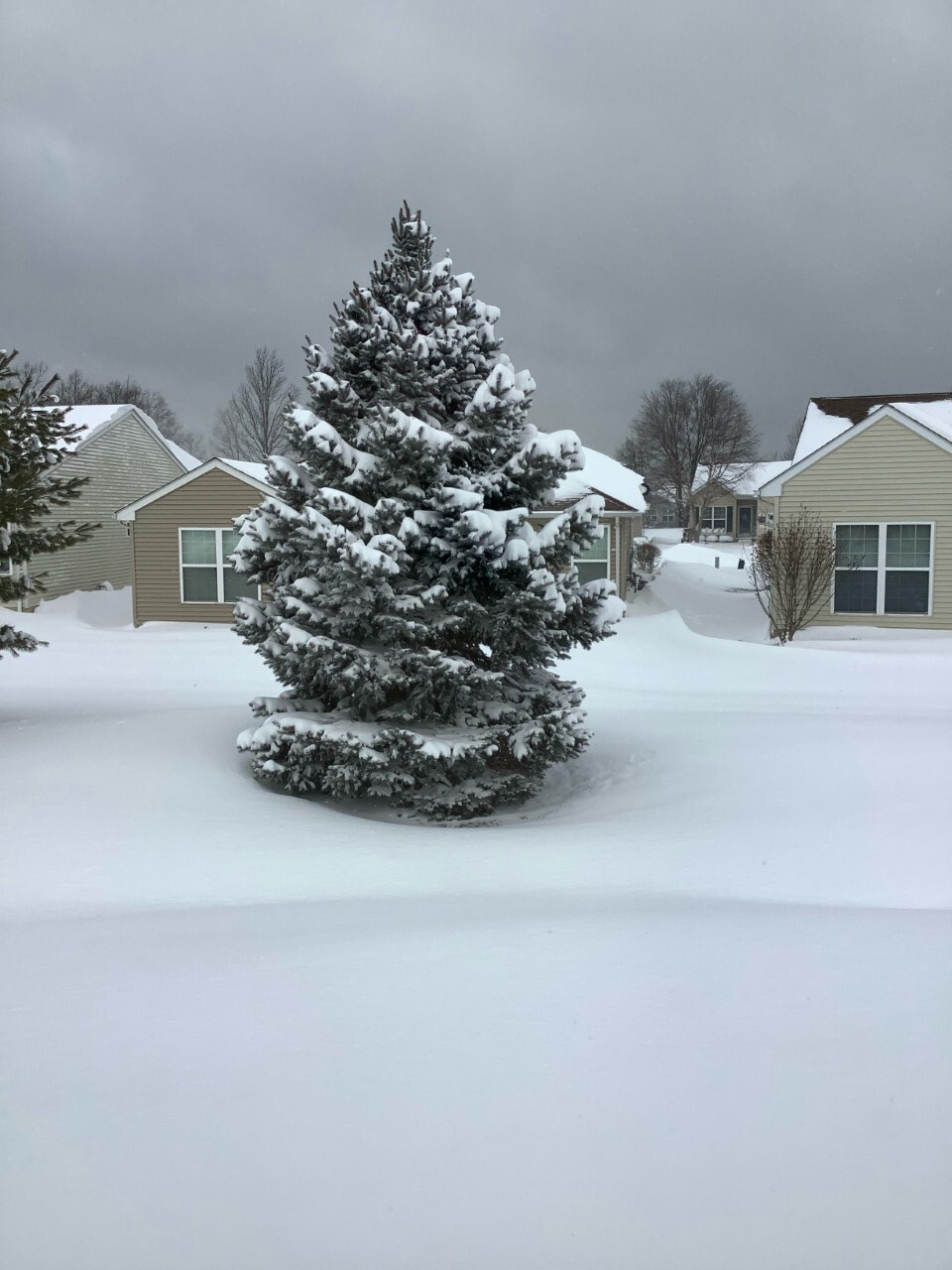 Hope Tilk Lorain.jpg