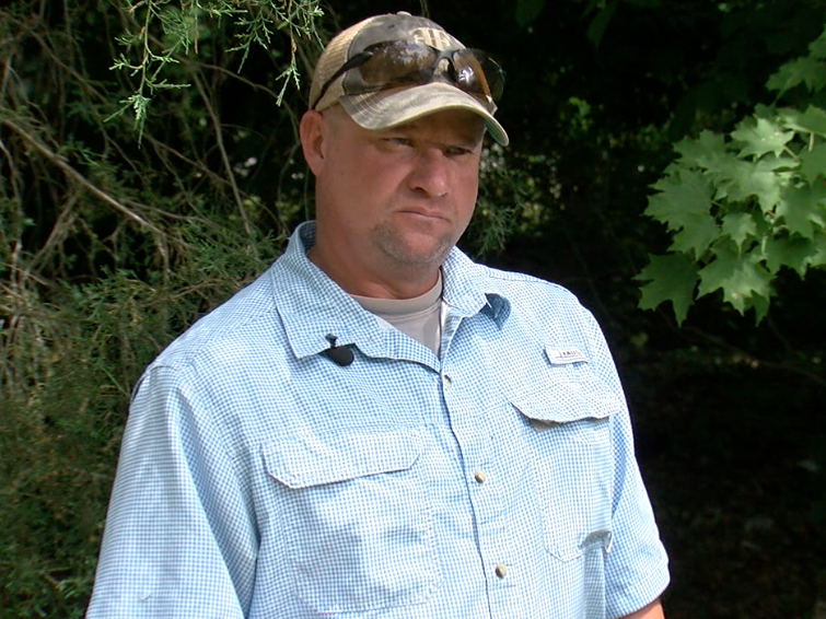 Michael Rees' horse farm backs up to the Nestlewood solar facility in Tate Township.
