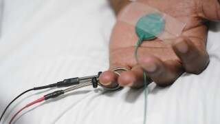 US could have avoided at least 130,000 COVID-19 deaths, Columbia University study says