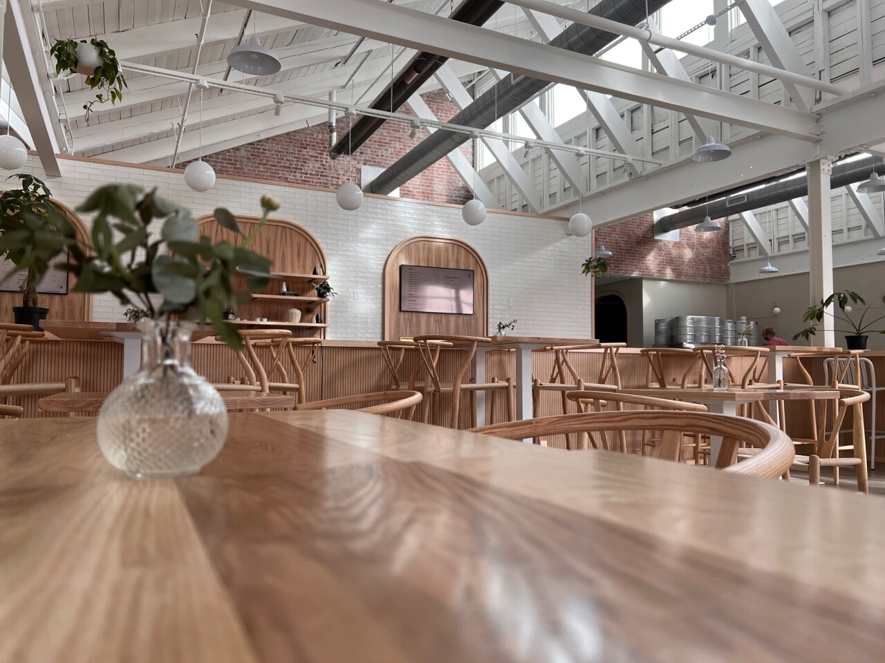 twin petrels inside good