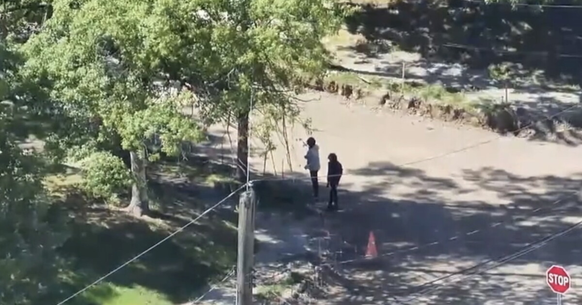 Drone, K9 and tip lead Garfield Heights PD to teen break-in suspects
