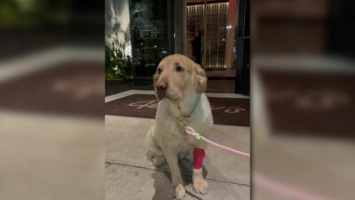 Poster image (1).jpg