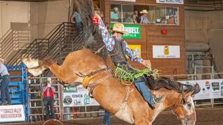 Montana High School Rodeo