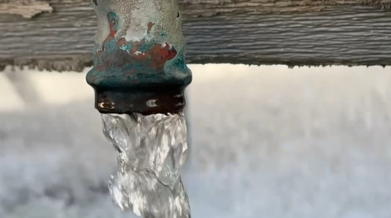 Formula 1 Las Vegas Grand Prix plants trees for every overtake this year