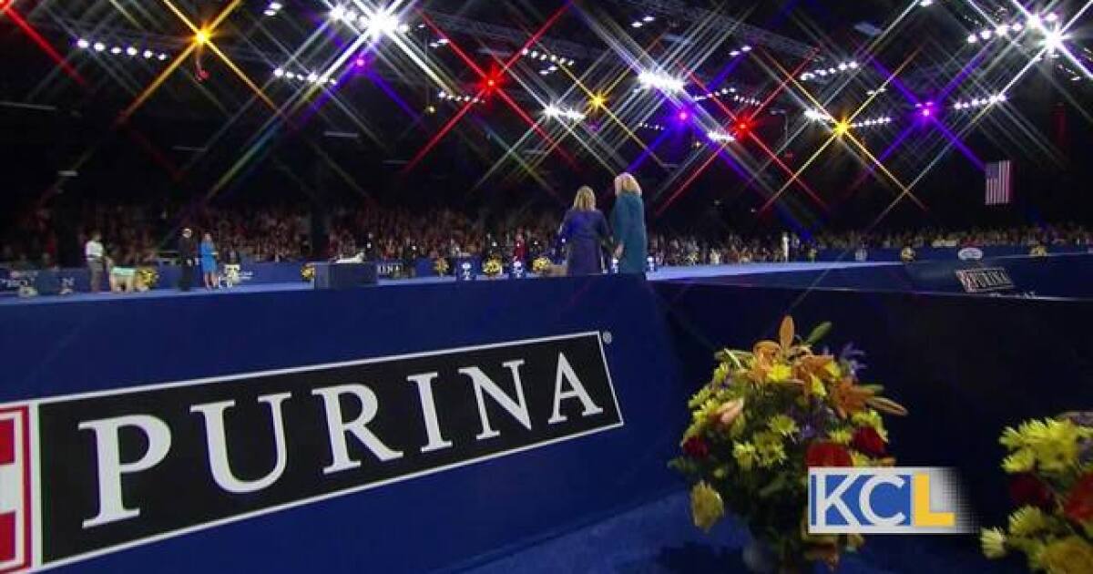 A Thanksgiving tradition The National Dog Show