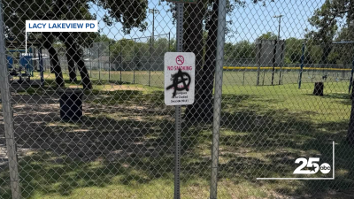 Lacy Lakeview park vandalism