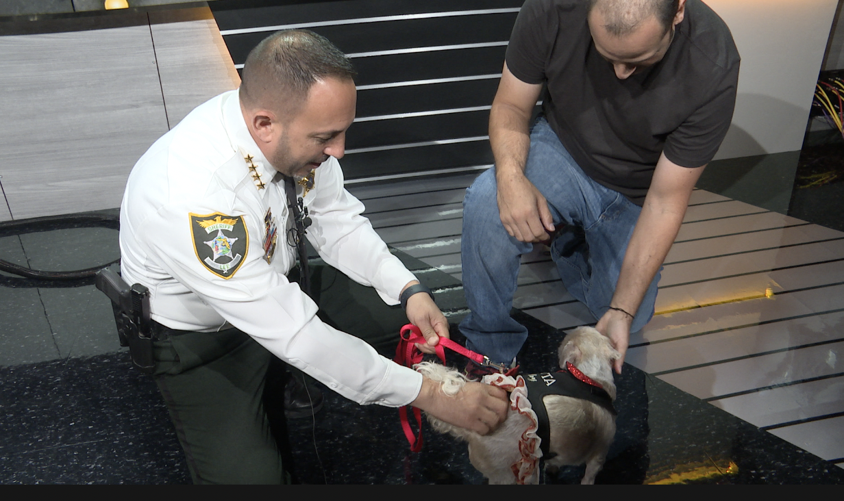 LCSO and Louis Lado with Xyla