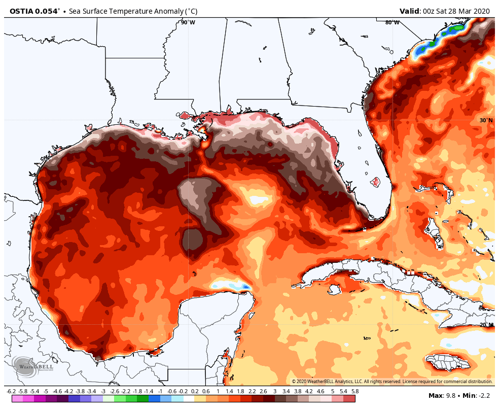 ostia-all-gulf-sst_anom-5353600.png