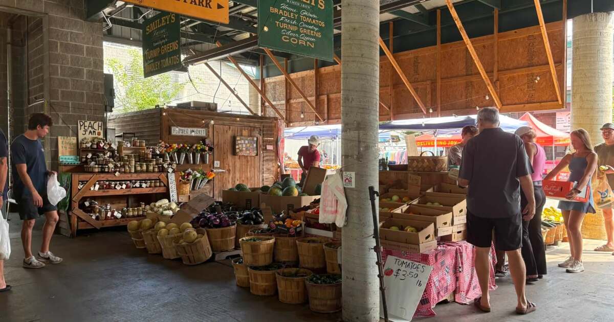 Nashville shoppers turn to local farmers amid salmonella, Cyclospora food safety scares