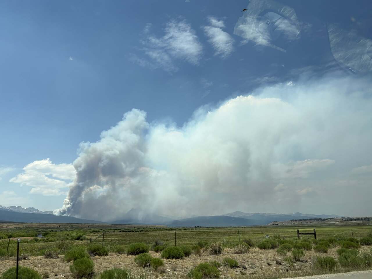 Willow Fire