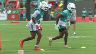 Dolphins Training Camp