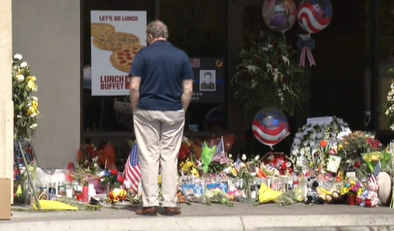 Cici's Shooting - 2014