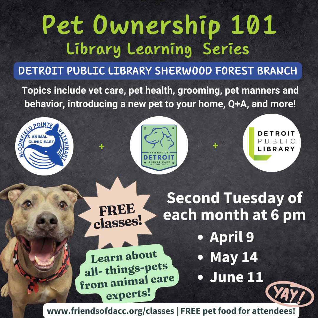 Pet ownership 101.png