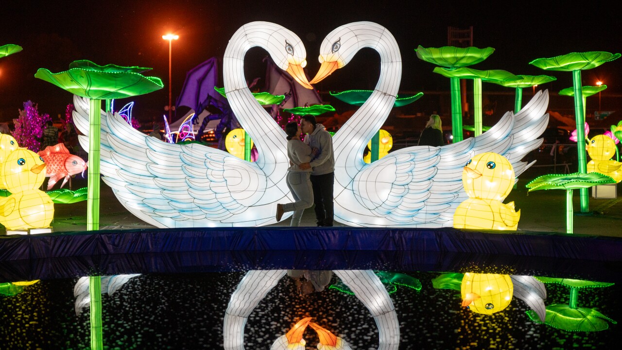 Larger-than-life creatures and plants are placed throughout the event, creating quite the background for your photos.