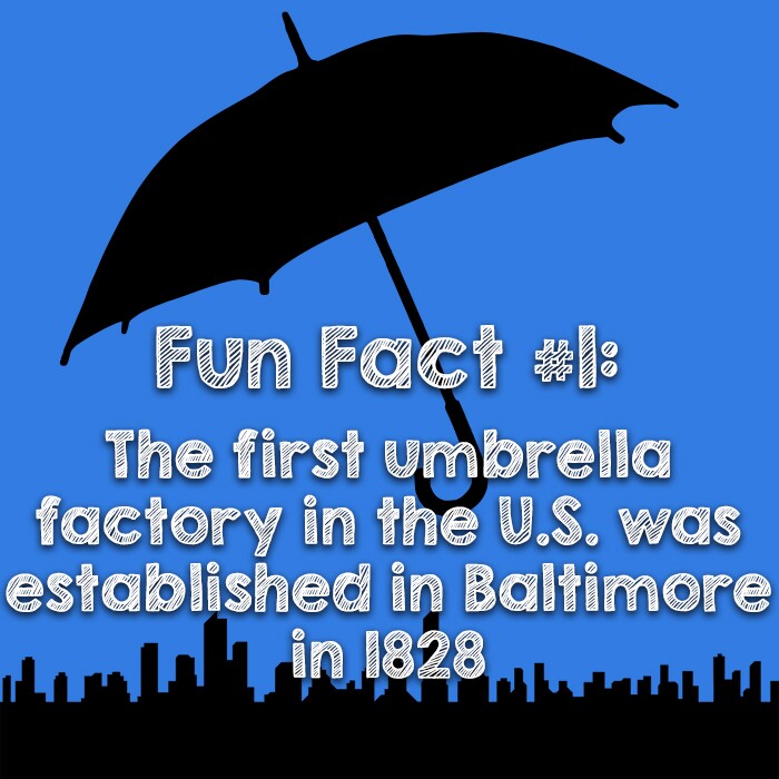 umbrella 2.jpg