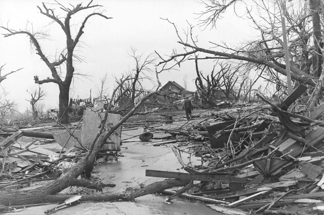 Home with Treees.jpg