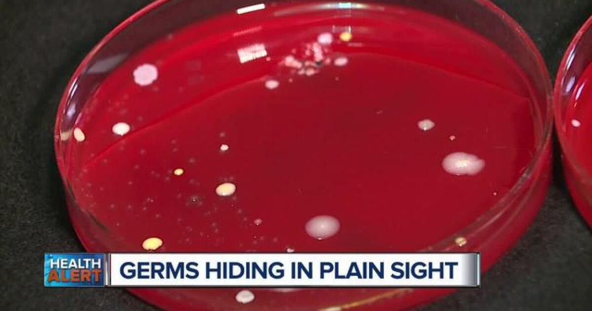 bacteria sick everyday