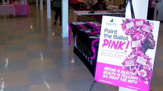 paint the ballot pink.png
