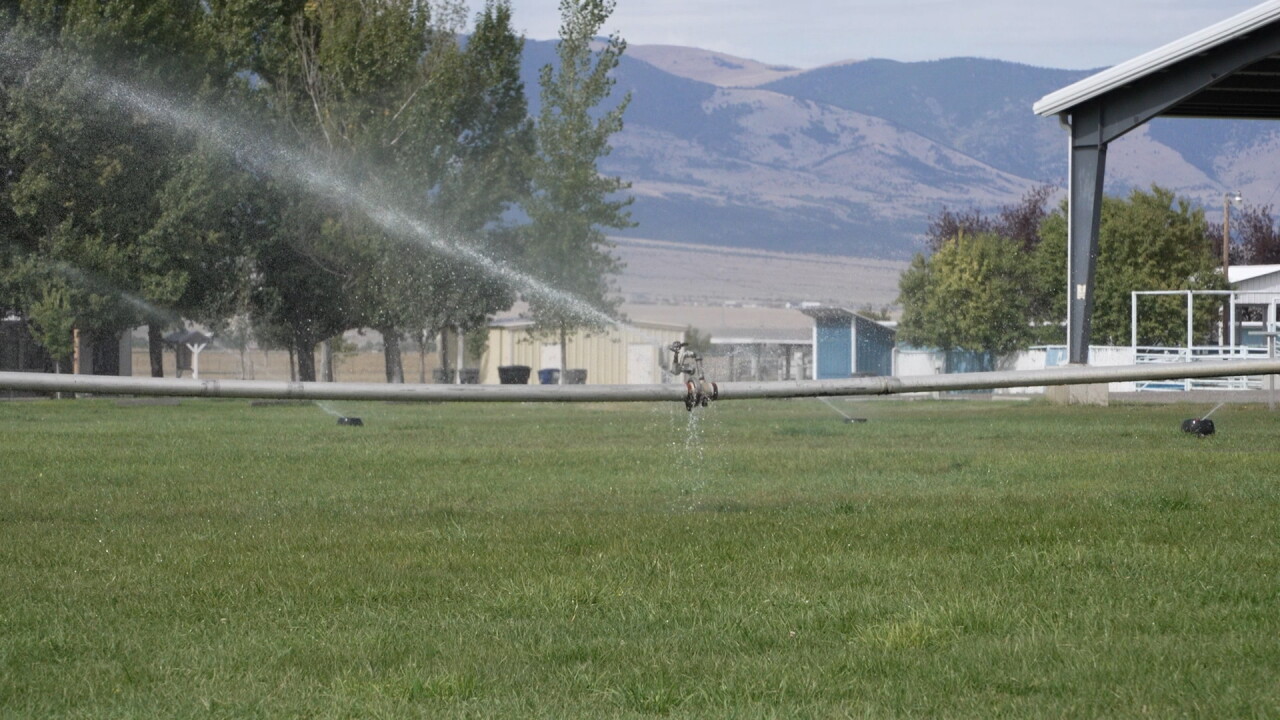 water sprinkler