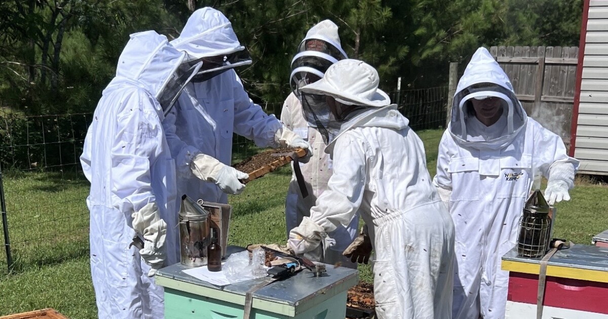 Monticello’s Granny Kat’s Bee Farm teaches the community to protect pollinators