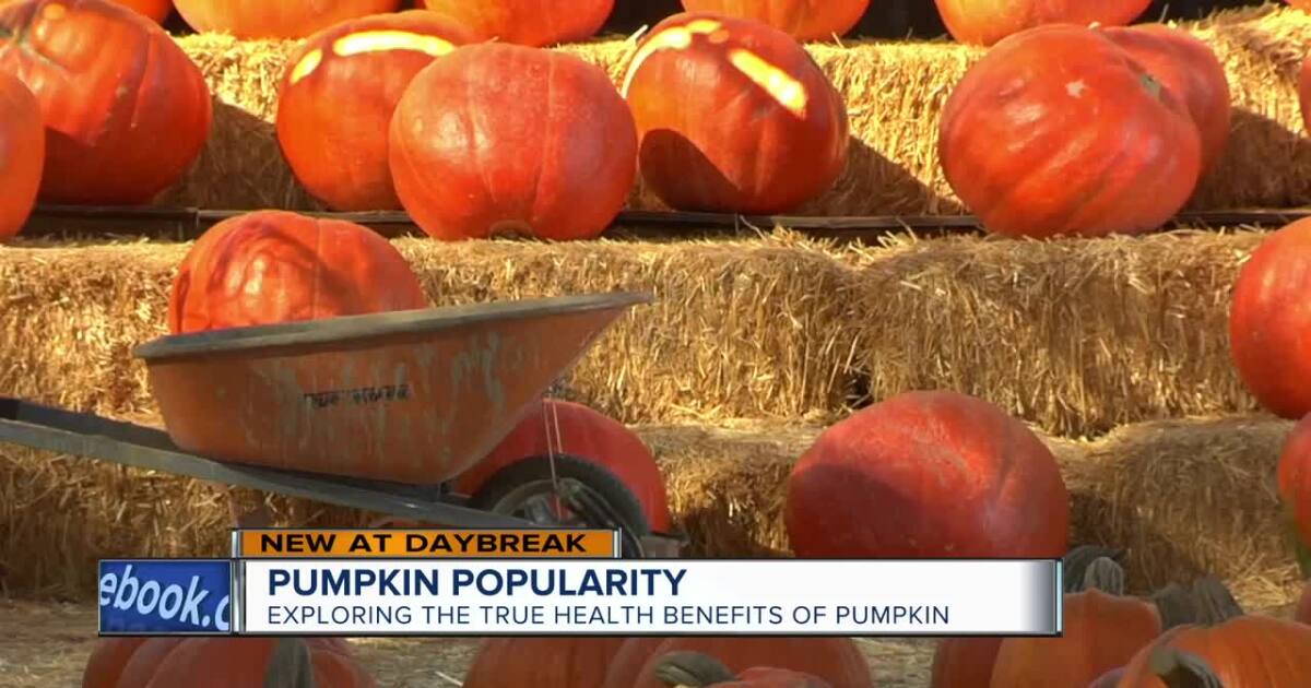 To Indulge Or Not Debunking Myths About Pumpkin Treats