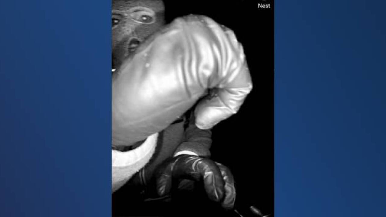 FEB. 10| New images in the search for Nancy Guthrie