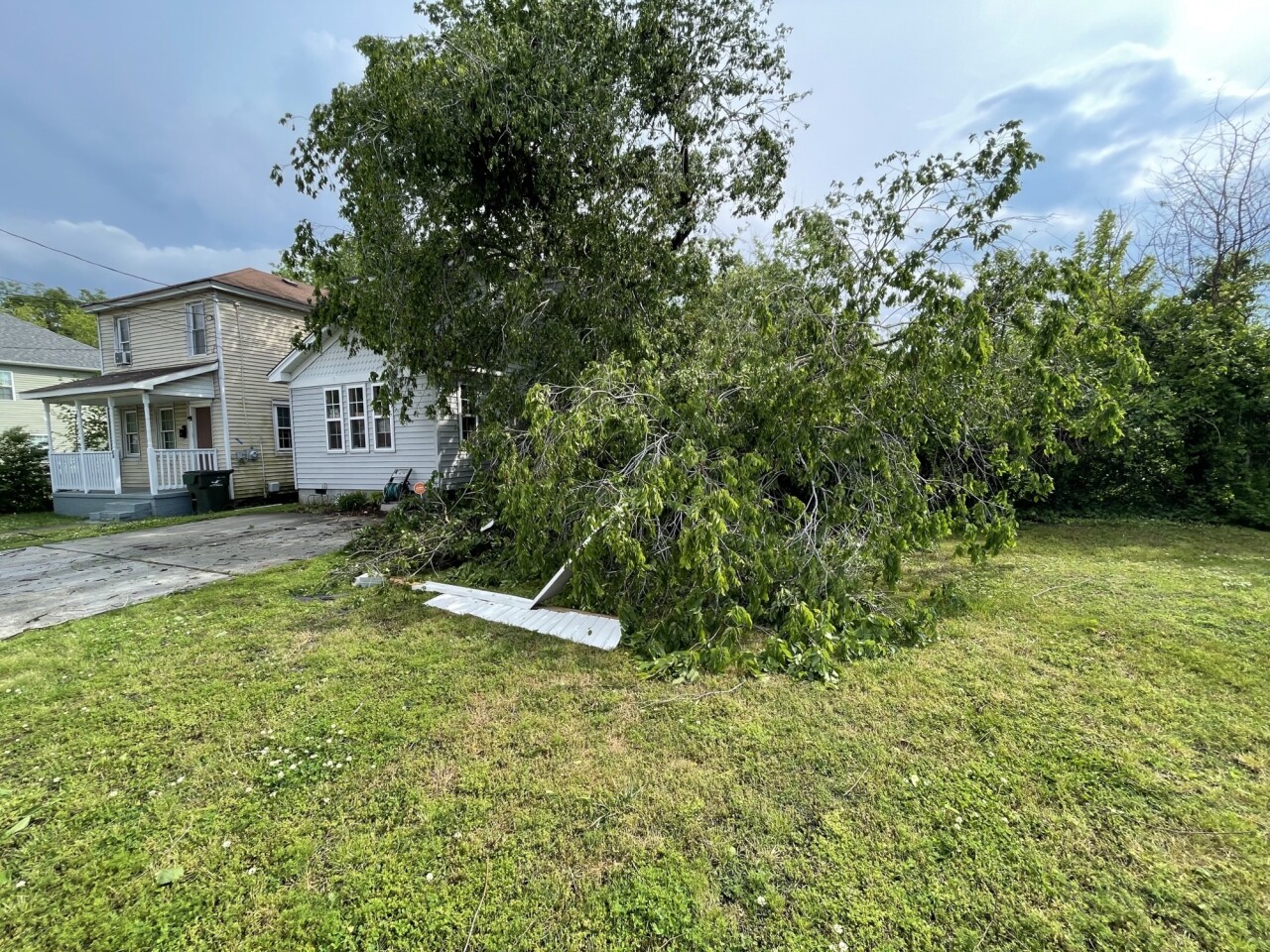 NF 1400 Manson Road tree down (May 16)