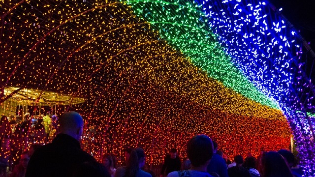 Cincinnati Zoo S Pnc Festival Of Lights Is Still On For 2020