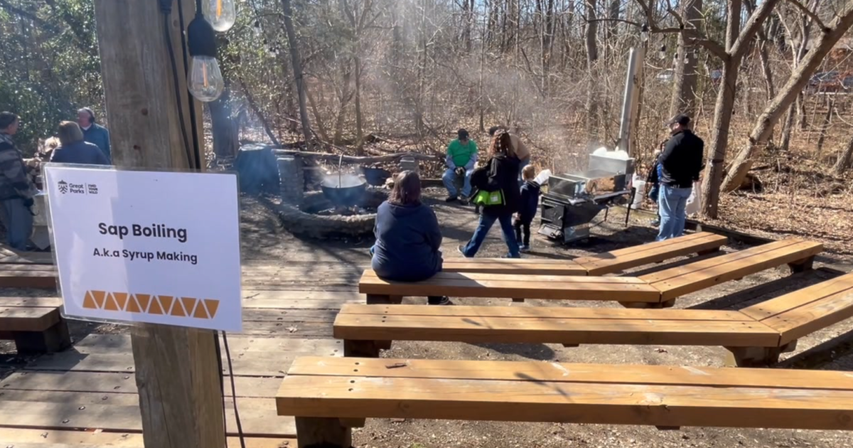 Ohio's maple season wraps up amid successful harvest and new spring programs